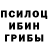 Псилоцибиновые грибы Psilocybe ZAMIR AHMEDOV