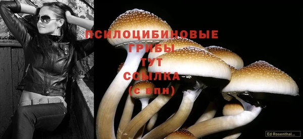 кокаин премиум Беломорск