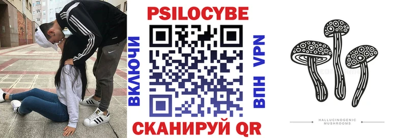 blacksprut как зайти  Светлогорск  Псилоцибиновые грибы Psilocybe 