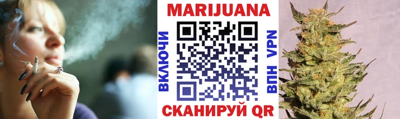 Бошки Шишки сатива как найти наркотики Светлогорск